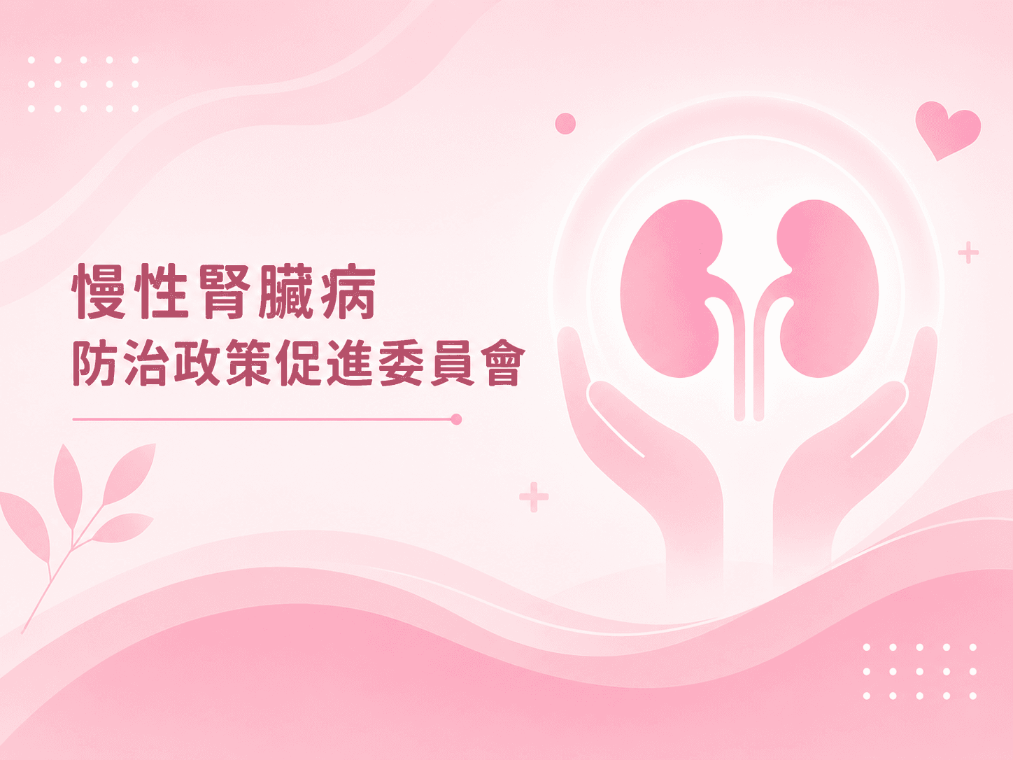 慢性腎臟病防治政策促進委員會